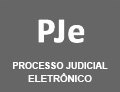 Processo Judicial Eletrônico - PJE